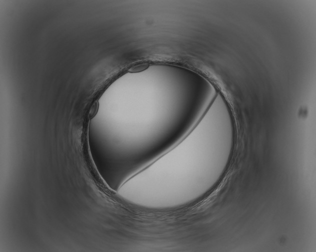X0000094970201200711291146