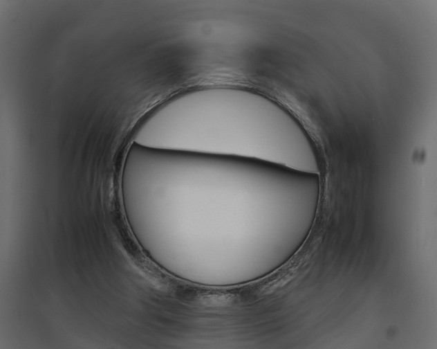 X0000094970202200711291146