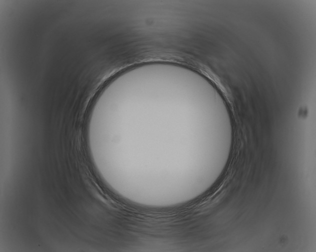 X0000094970203200711291146