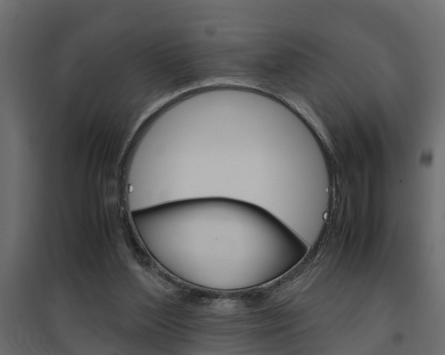 X0000094970204200711291146