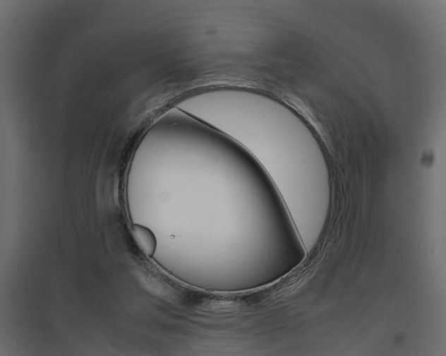 X0000094970205200711291146
