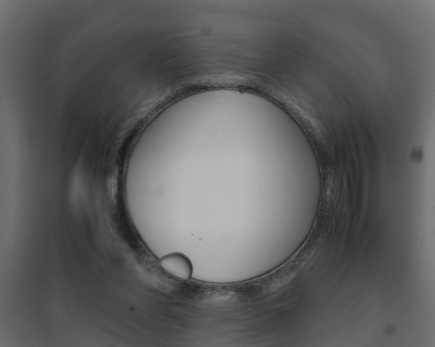 X0000094970206200711291146