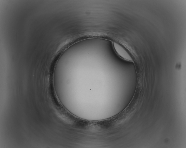 X0000094970207200711291146