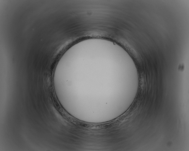 X0000094970208200711291146