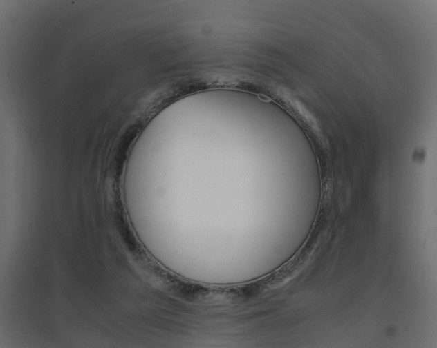 X0000094970209200711291146