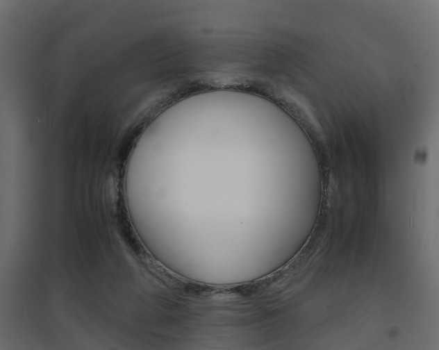 X0000094970210200711291146