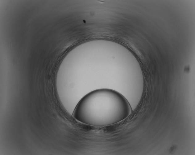 X0000094970211200711291146