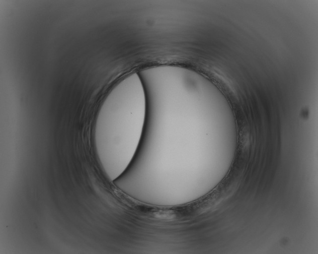 X0000094970214200711291146