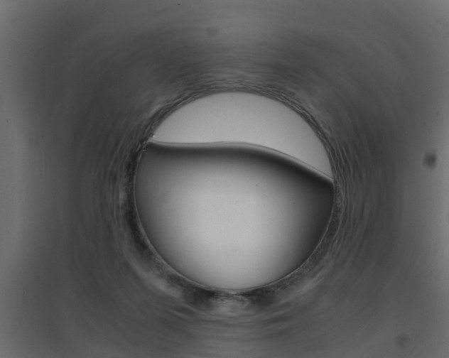 X0000094970215200711291146