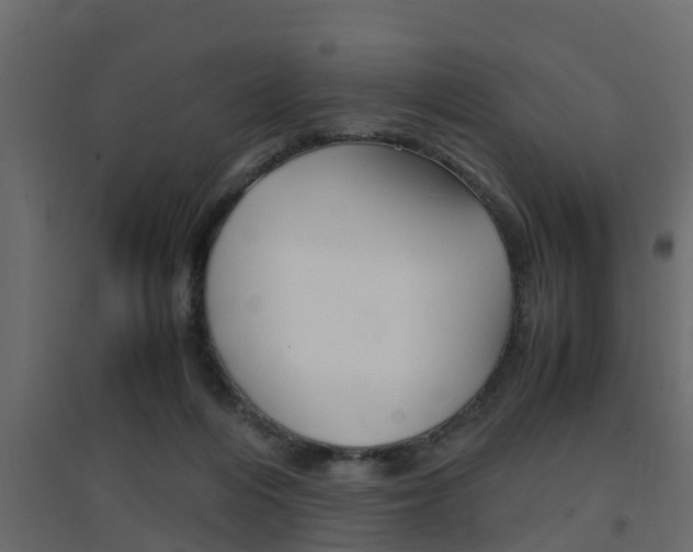 X0000094970216200711291146