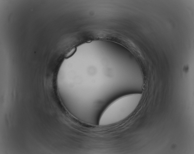 X0000094970217200711291146