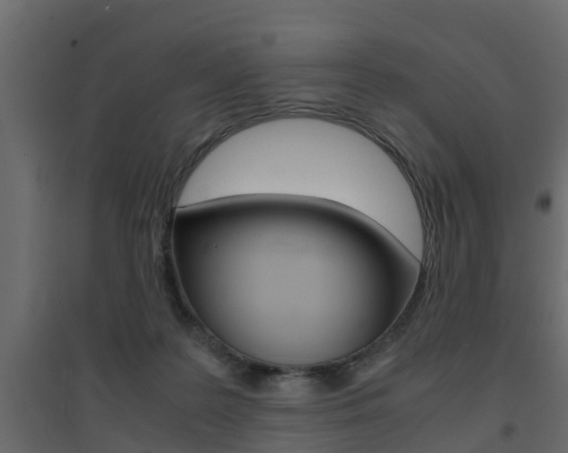 X0000094970219200711291146
