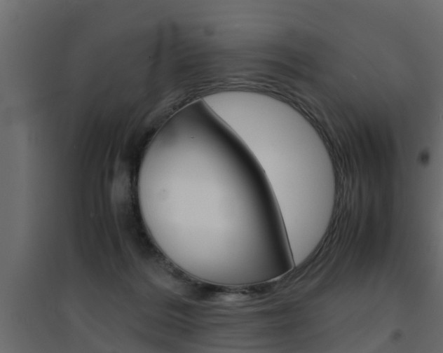 X0000094970220200711291146