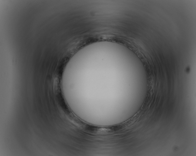 X0000094970222200711291146