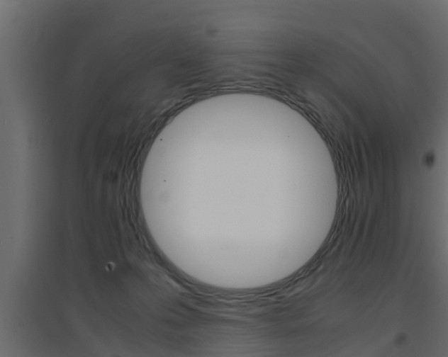 X0000094970223200711291146