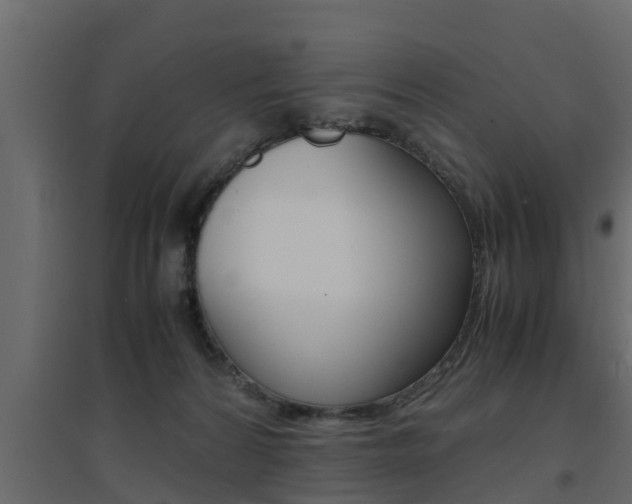X0000094970224200711291146