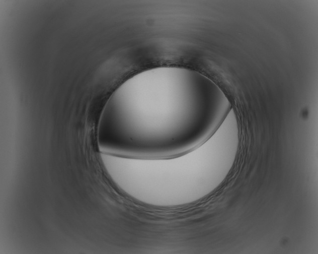 X0000094970225200711291145