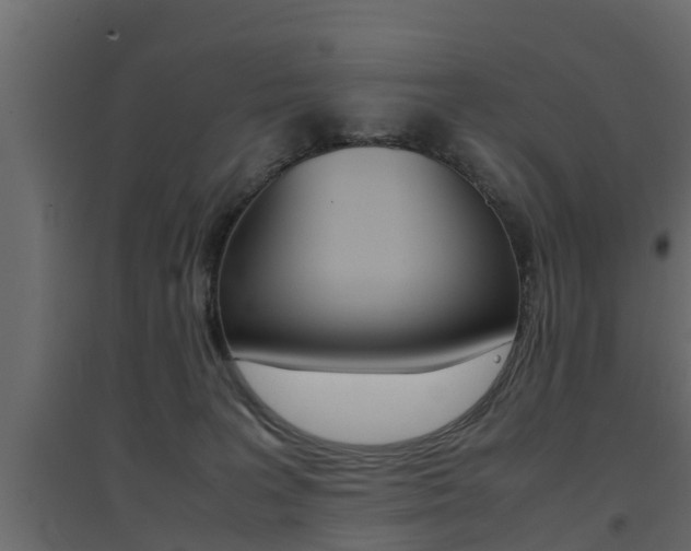 X0000094970227200711291145