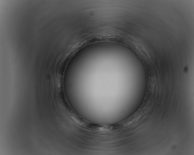 X0000094970232200711291145