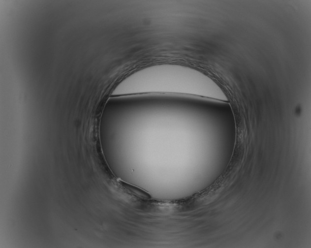 X0000094970233200711291145