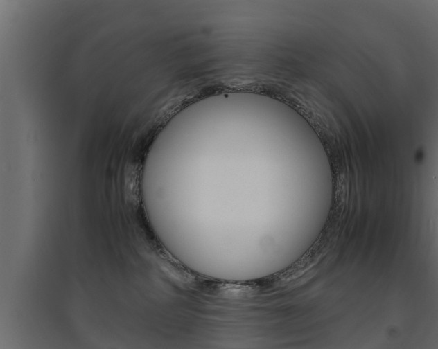 X0000094970234200711291145