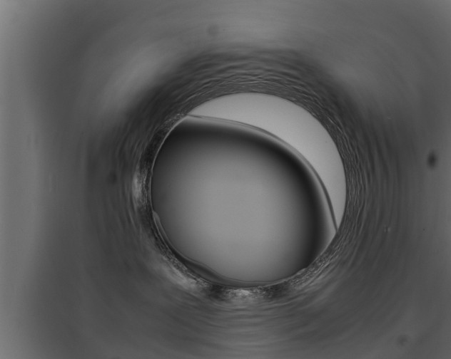 X0000094970239200711291145