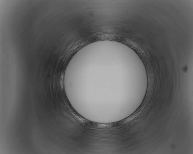 X0000094970240200711291145