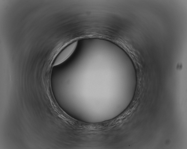X0000094970241200711291144