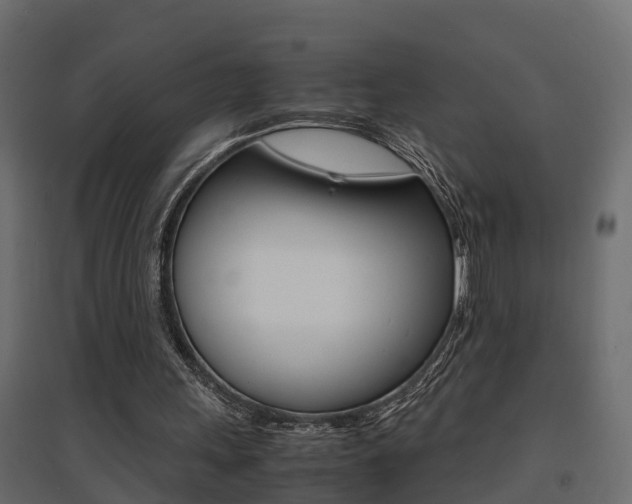X0000094970243200711291144