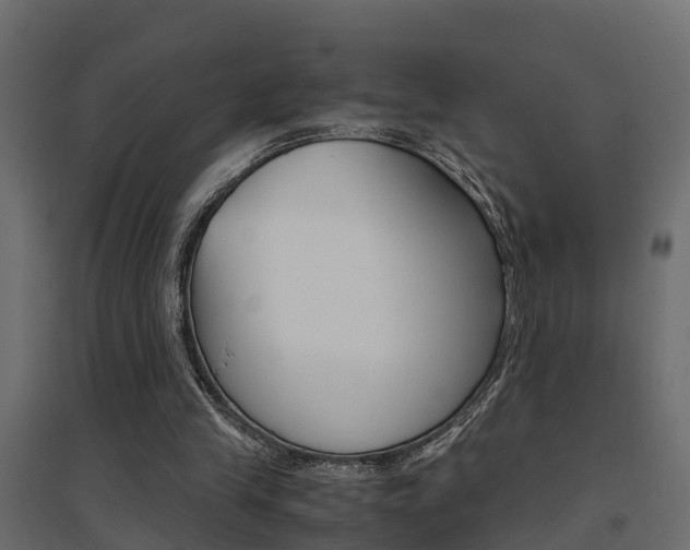 X0000094970245200711291145
