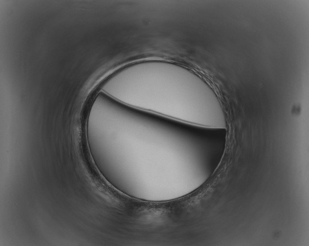 X0000094970247200711291145