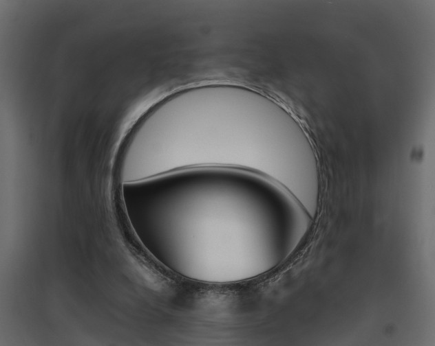 X0000094970248200711291145