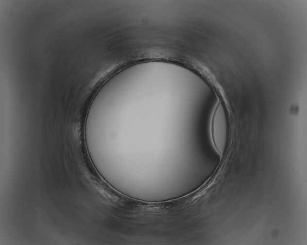 X0000094970249200711291145