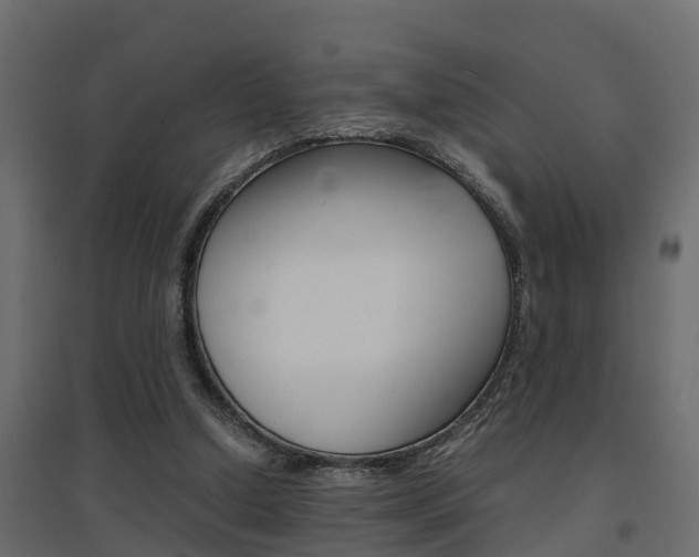 X0000094970250200711291145