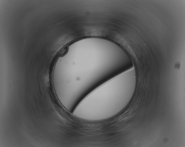 X0000094970251200711291145