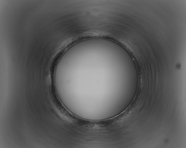 X0000094970254200711291145