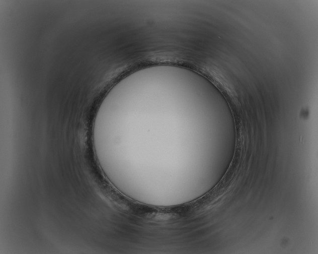 X0000094970255200711291145
