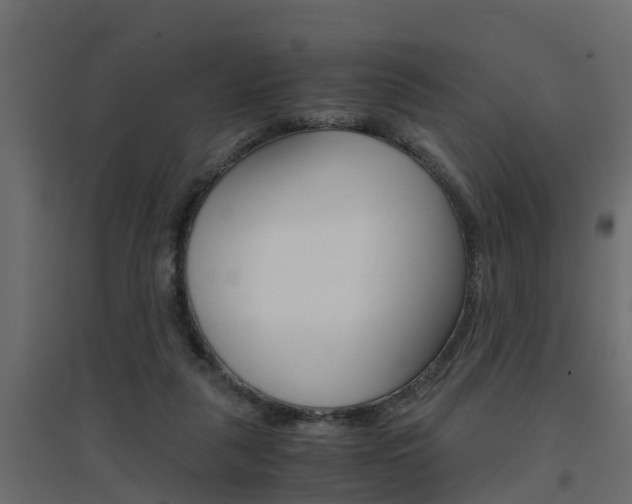 X0000094970259200711291145