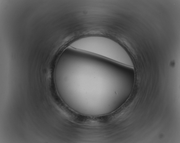 X0000094970260200711291145