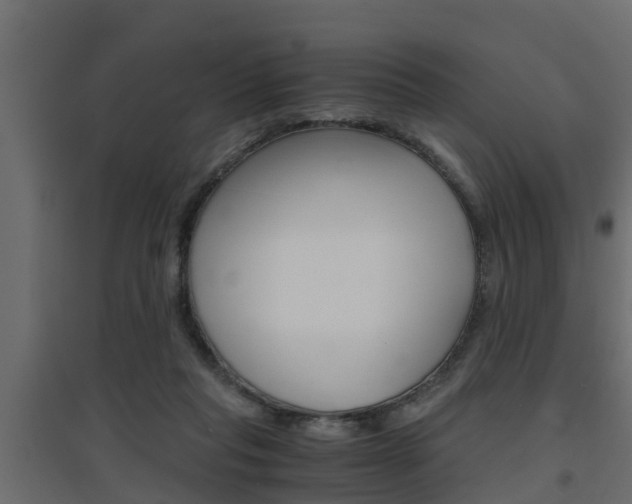 X0000094970261200711291145