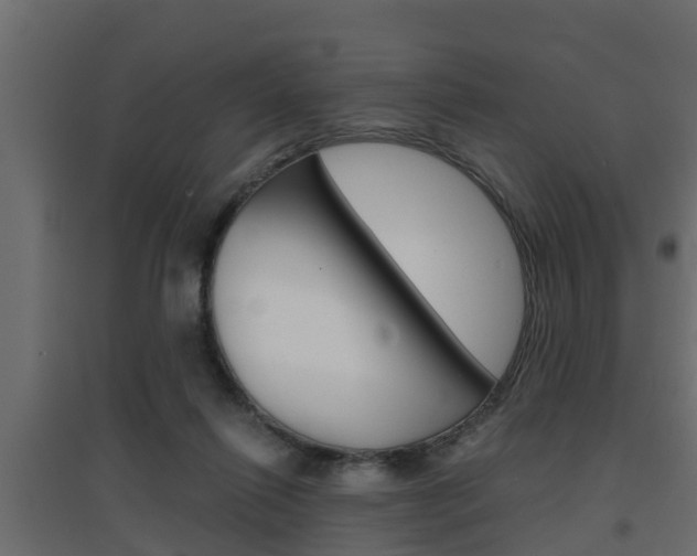 X0000094970262200711291145