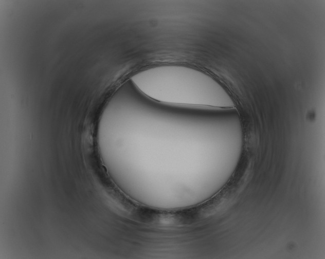 X0000094970264200711291145
