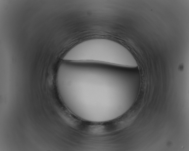 X0000094970266200711291145