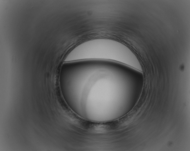 X0000094970268200711291145
