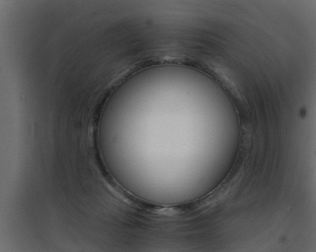 X0000094970269200711291145
