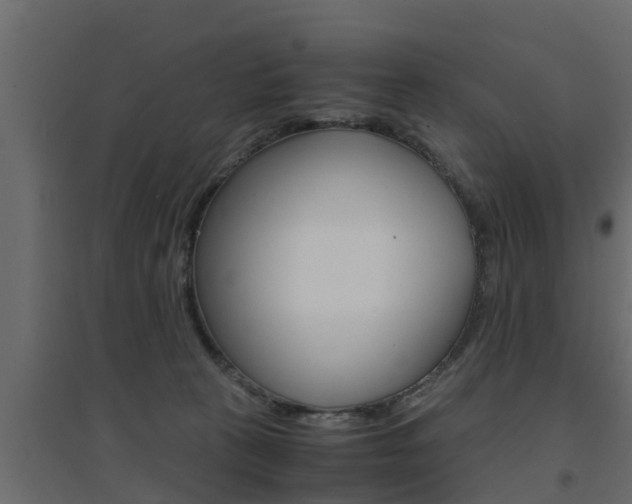 X0000094970273200711291145
