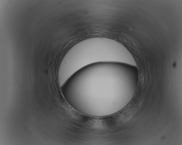 X0000094970276200711291145