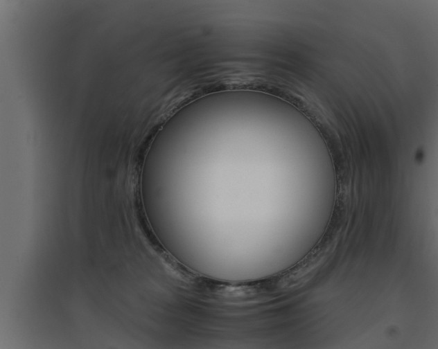 X0000094970277200711291145
