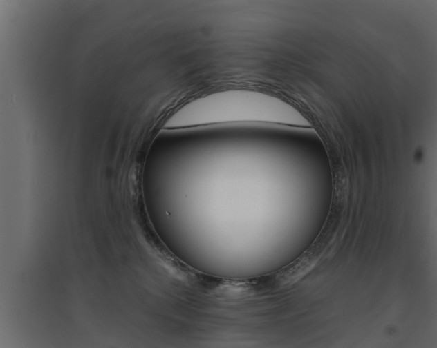 X0000094970280200711291145