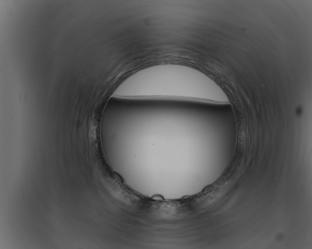 X0000094970282200711291145
